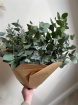 Bouquets | Eucalyptus Bunch