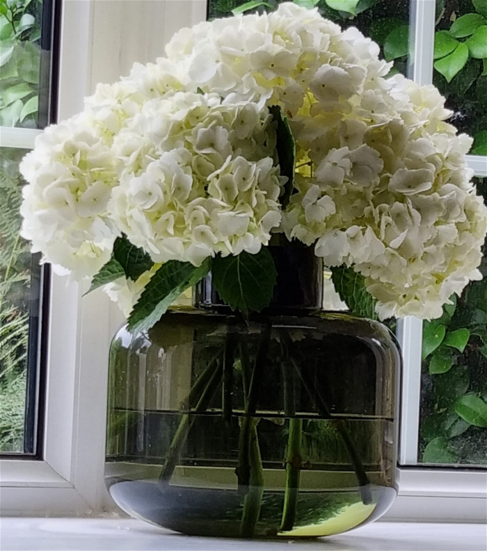 Bouquets | Hydrangea Bouquets