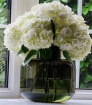 Bouquets | Christmas | Hydrangea Bouquets