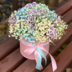 Mother's Day | Rainbow of Dreams Gypsophila