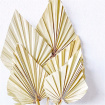Upsell gifts | Dried Palms