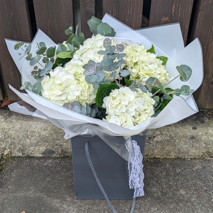 Bouquets | White Hydrangea Bouquet