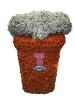 Bizzie Lizzies flowers | Stewarton | Funeral