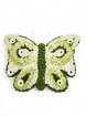 Funeral and Sympathy | Butterfly