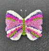 Funeral and Sympathy | Butterfly