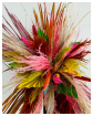 Dried Flowers | Home | Vibrant dried flower spray