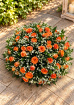 Funerals & Sympathy | Posy