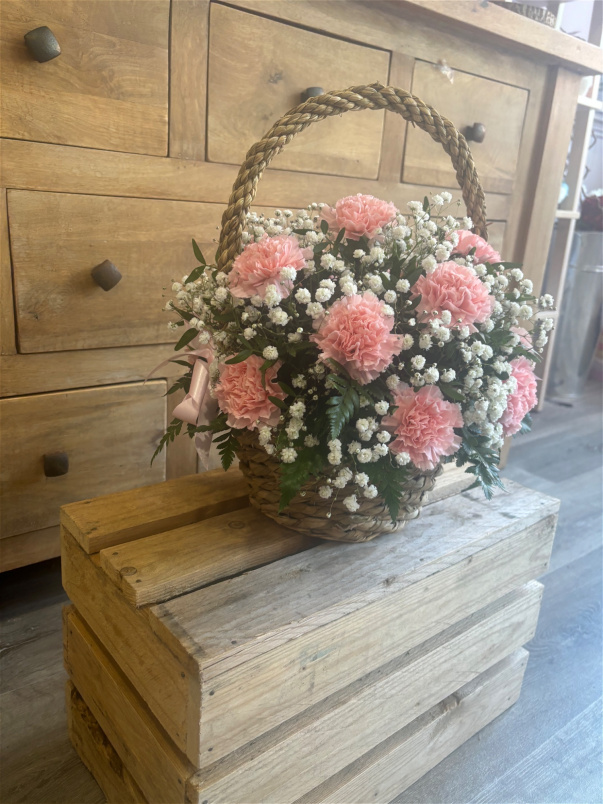 Arrangements | Funerals & Sympathy | Gifts | Carnation Basket