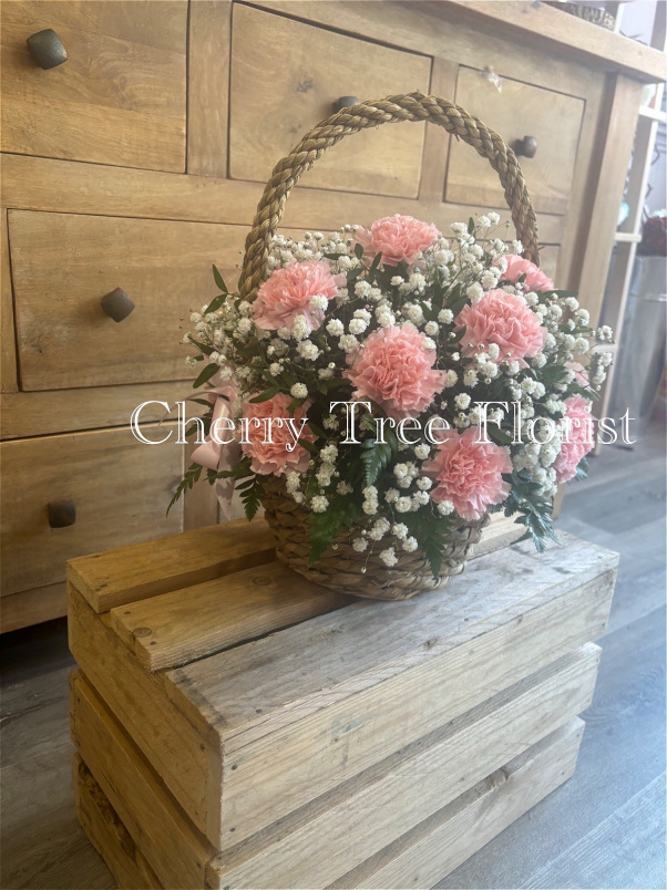 Arrangements | Funerals & Sympathy | Gifts | Carnation Basket