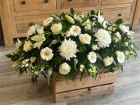 Funerals & Sympathy | White and green coffin spray