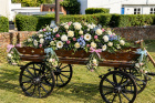 Funerals & Sympathy | White/Pink/Blue Coffin Spray