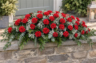 Funerals & Sympathy | Red Carnation Coffin Spray with trailing foliage