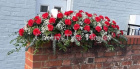 Funerals & Sympathy | Red Carnation Coffin Spray with trailing foliage