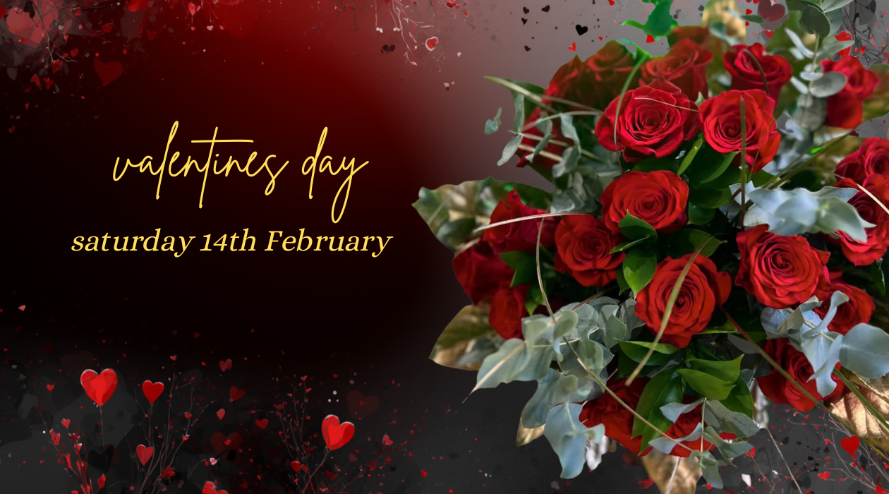 George in The Jungle | Macclesfield | Home