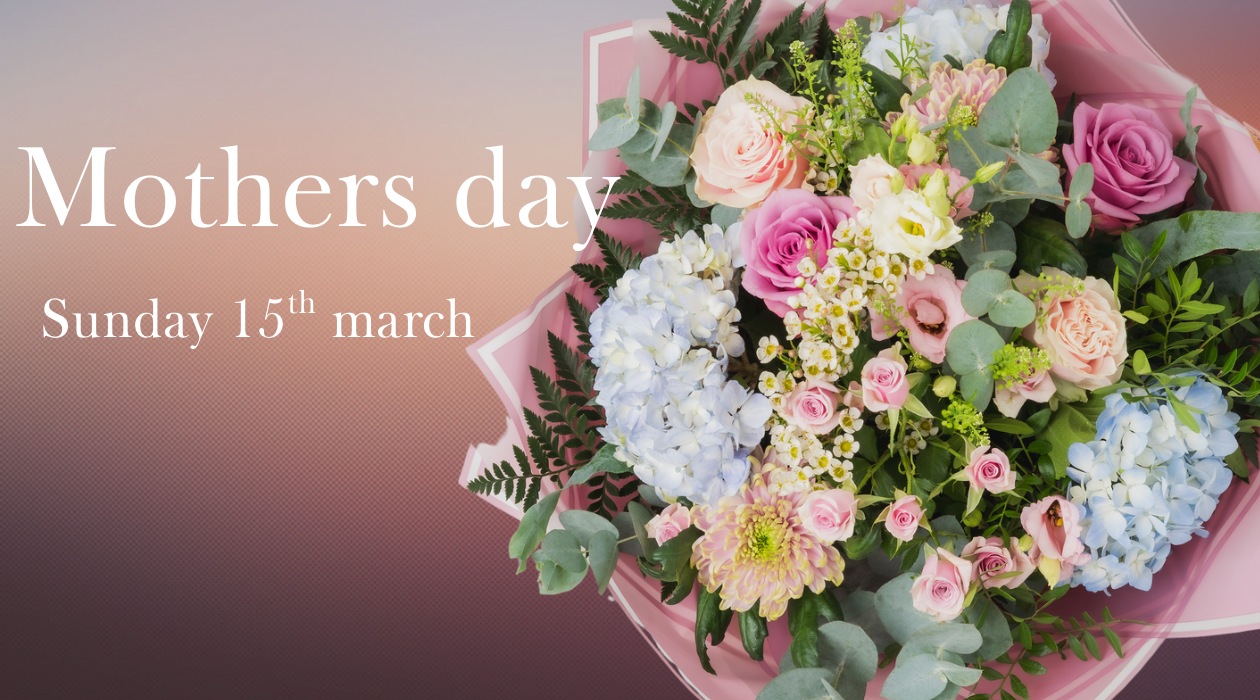 George in The Jungle | Macclesfield | Home