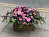 George in The Jungle | Macclesfield | Funeral tributes