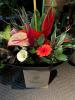 George in The Jungle | Macclesfield | Gift bouquets