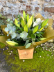 Bouquets | Classic lilly