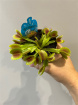 House Plants | Venus flytrap (donates muscipula)