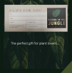 Bouquets | House Plants | Gift Voucher