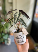 Fun personalised pots | I like plants more than people