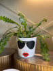 Fun personalised pots | Woman in Shades