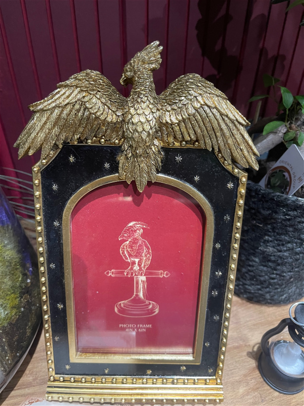 Harry Potter gifts | Fawkes frame
