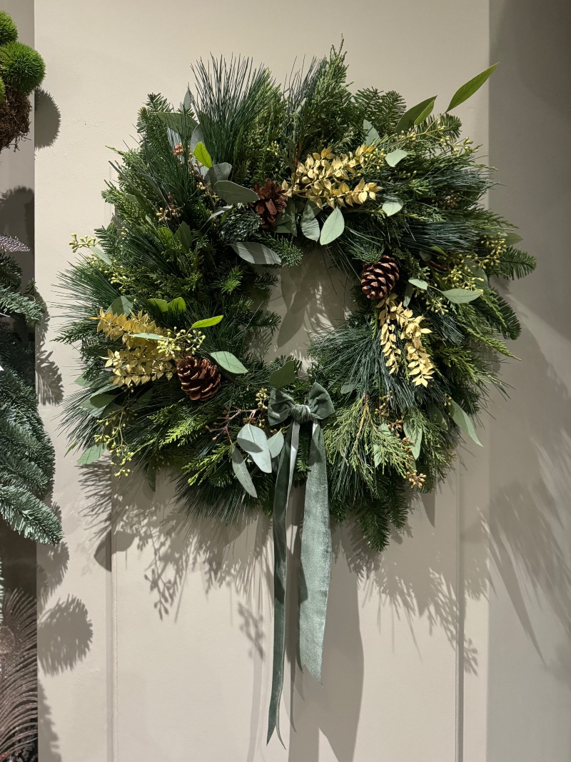 George in The Jungle | Macclesfield | Home