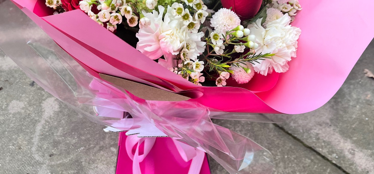 Clover Blooms | Castle Bromwich | Home