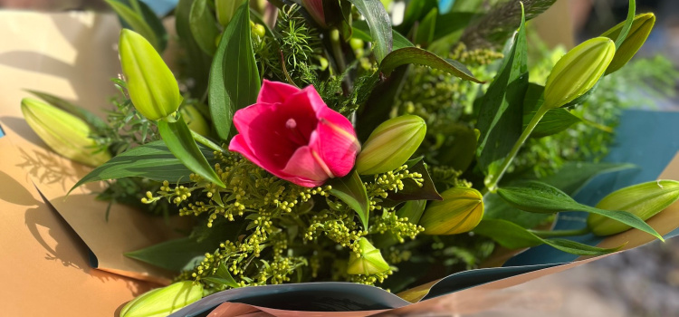 Clover Blooms | Castle Bromwich | Home