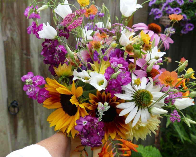 Just Anne Flowers | Sudbury | Home