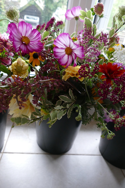 Just Anne Flowers | Sudbury | Home