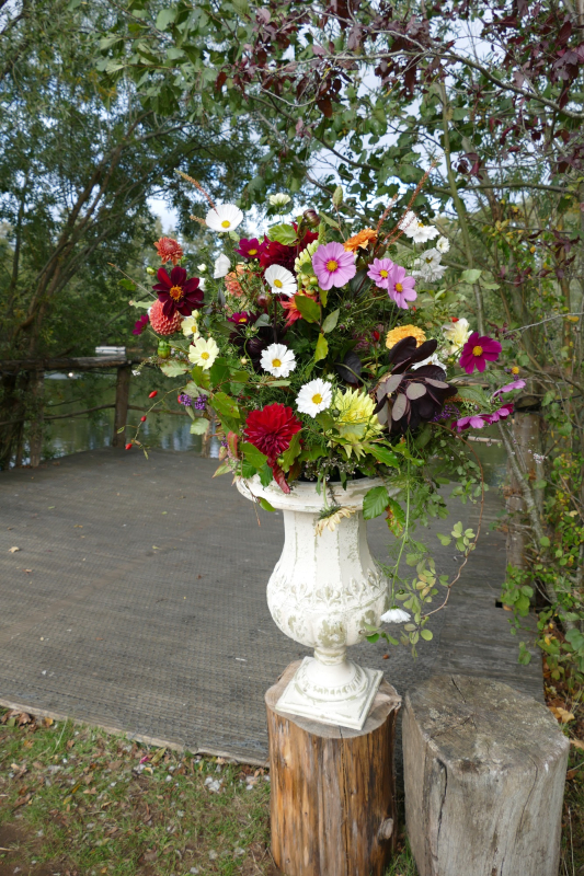 Just Anne Flowers | Sudbury | Home