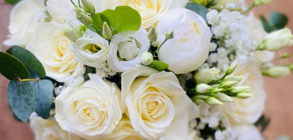 Pascal's Flowers   | Kings Lynn | Home