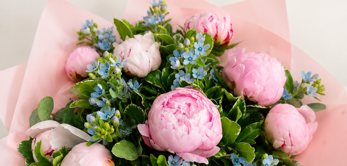 Pascal's Flowers   | Kings Lynn | Home