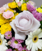 Anniversary | Arrangements | Birthdays | Easter | Get well soon flowers | Mother's Day | New baby flowers | Floral Fantasy