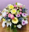 Anniversary | Arrangements | Birthdays | Get well soon flowers | Leaving flowers | Mother's Day | New home flowers | “You’re a Star” - Basket arrangement