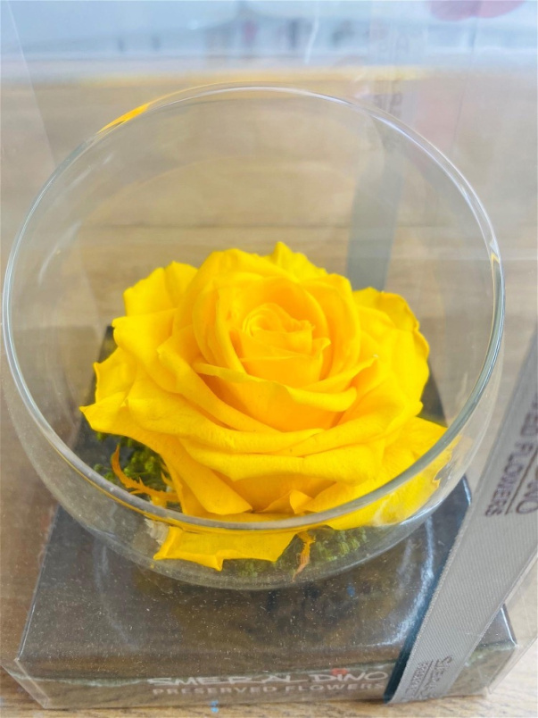 Gifts | Upsell gifts | Real Preserved Roses