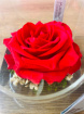 Gifts | Upsell gifts | Real Preserved Roses