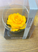 Gifts | Upsell gifts | Real Preserved Roses