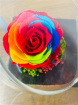 Gifts | Upsell gifts | Real Preserved Roses