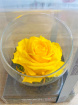 Gifts | Upsell gifts | Real Preserved Roses