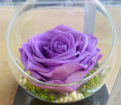 Gifts | Upsell gifts | Real Preserved Roses