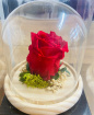 Gifts | Upsell gifts | Real Preserved Roses