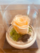 Gifts | Upsell gifts | Real Preserved Roses