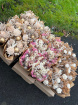 Dried Flowers | Dried Mini Bouquets Natural