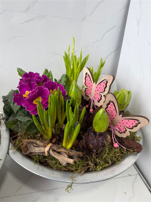Mother's Day | Mixed butterfly planter