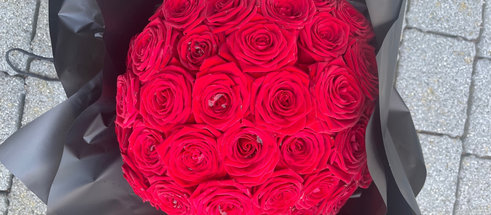 Reine Des Fleurs | Brentwood | Home