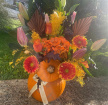Autumn Picks | Standard Pumpkin