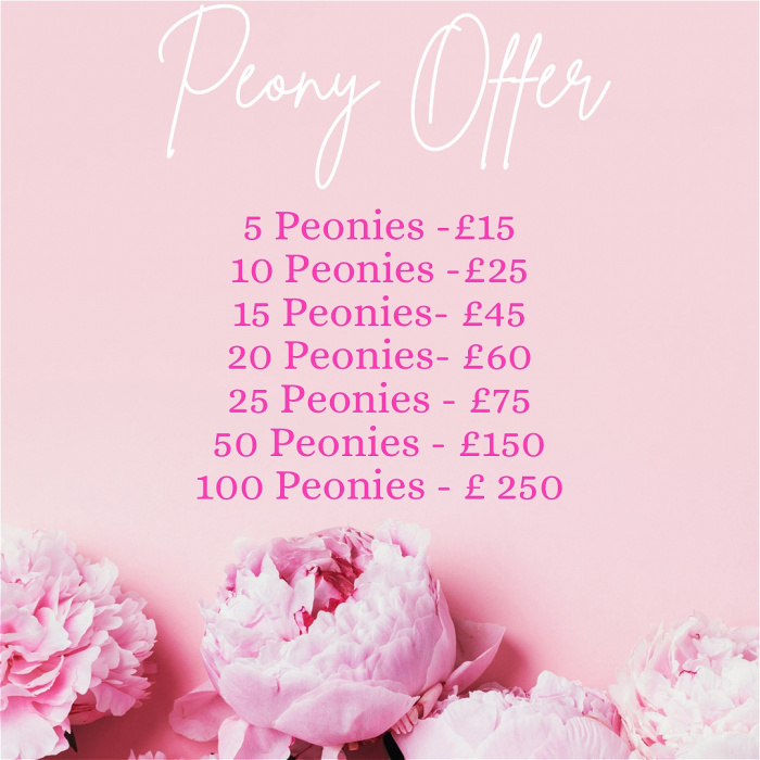 Peonie Lovers | Peonie Pricelist